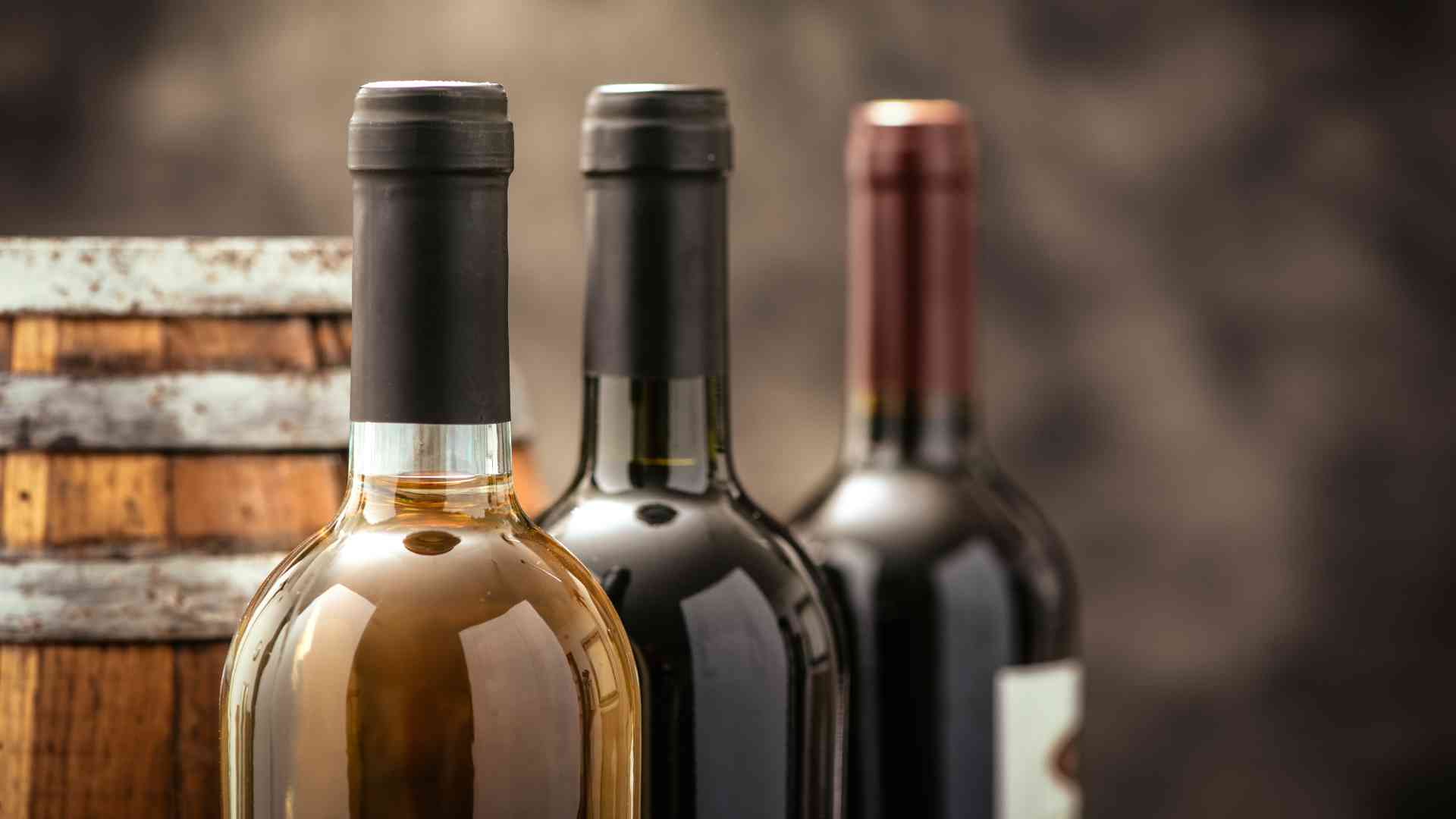 Factores a Considerar al Elegir una Llenadora
